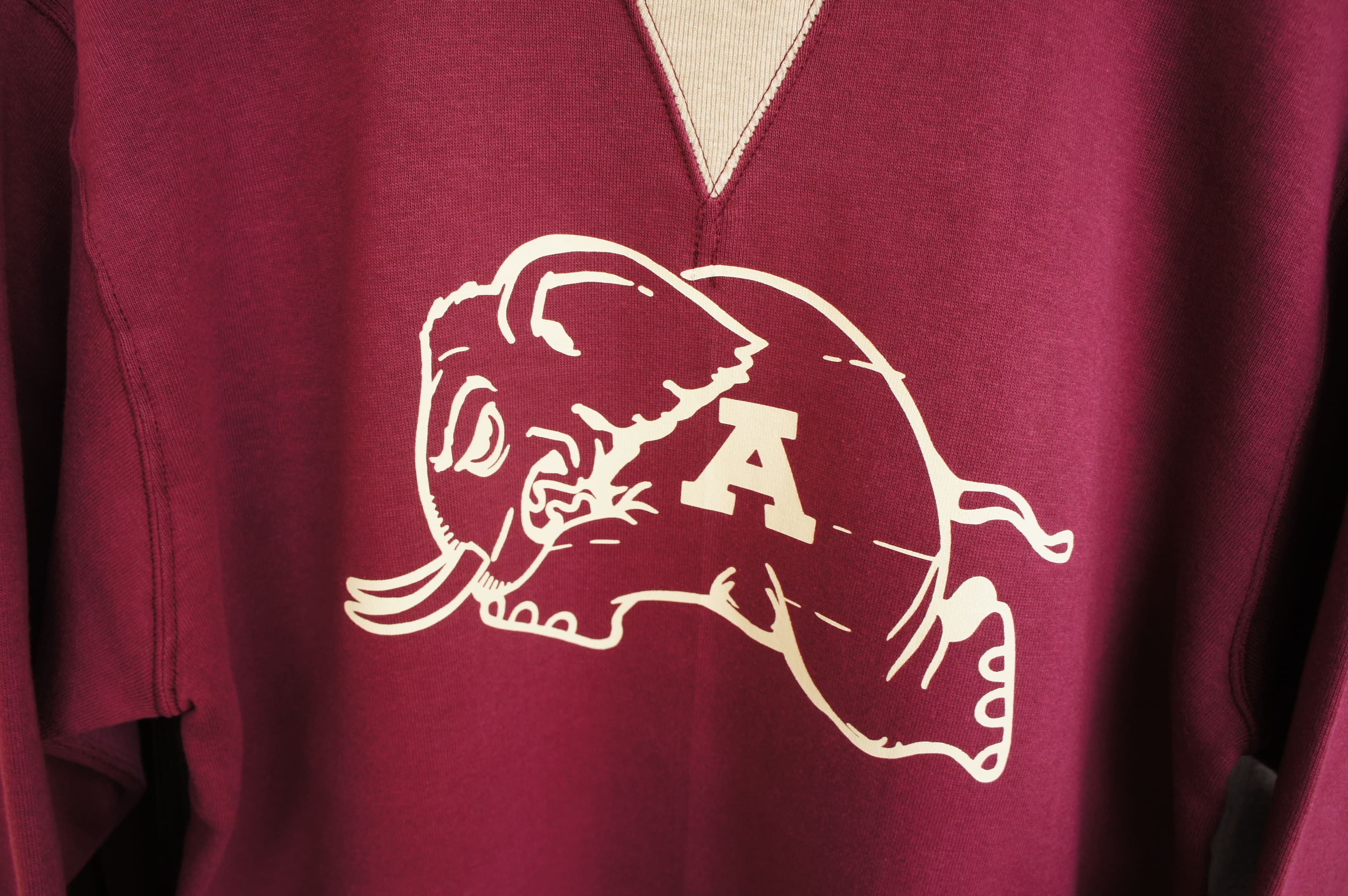 2026 FALL / WINTER sample image
